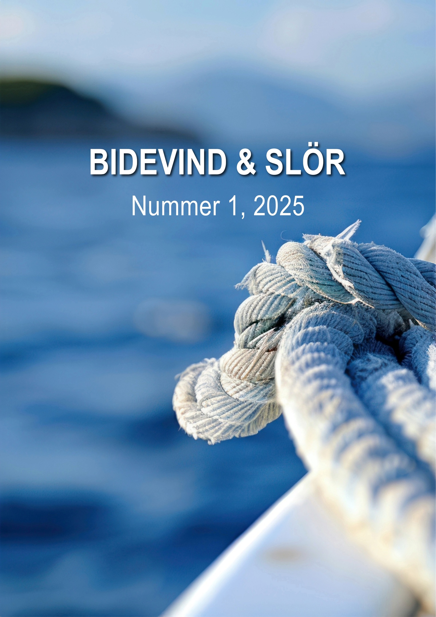 Gästbåtar vid C4SS gästhamn i Åhus